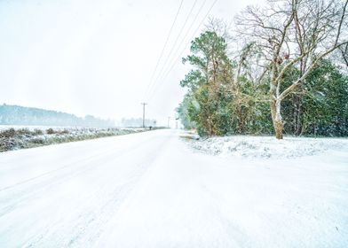 January Snow Day