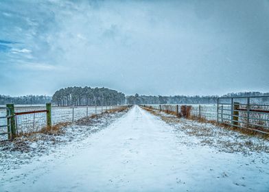 January Snow Day