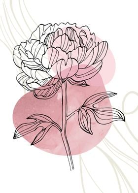 Peony Flowers Art