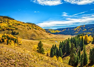 Cumbres and Toltec Train