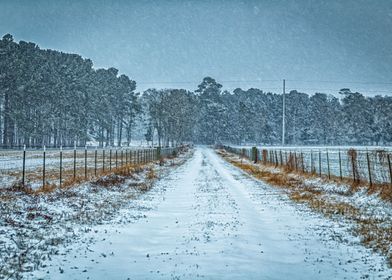 January Snow Day