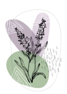 Lavender Botanical Nordic