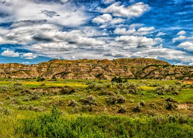 Theodore Roosevelt Park