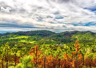 Heddy Draw Overlook