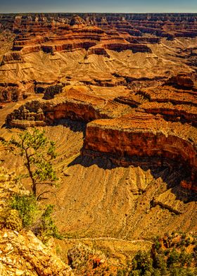 Mather Point Grand Canyon