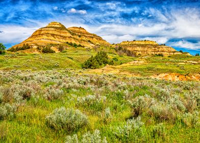 Theodore Roosevelt Park