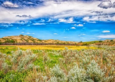 Theodore Roosevelt Park