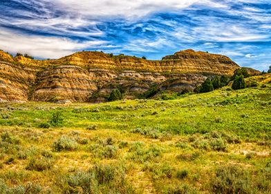 Theodore Roosevelt Park