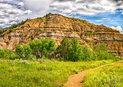 Theodore Roosevelt Park