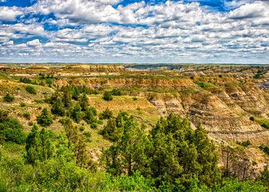 Theodore Roosevelt Park