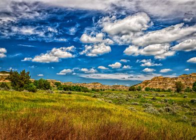 Theodore Roosevelt Park