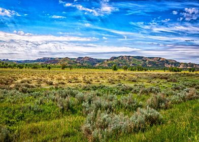 Theodore Roosevelt Park