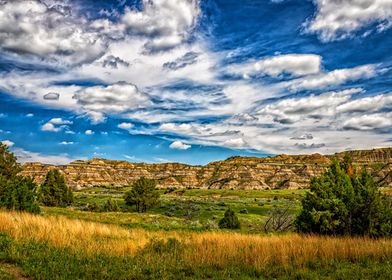 Theodore Roosevelt Park