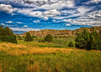 Theodore Roosevelt Park