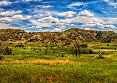 Theodore Roosevelt Park