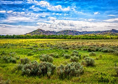 Theodore Roosevelt Park