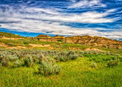 Theodore Roosevelt Park