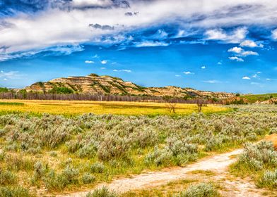 Theodore Roosevelt Park