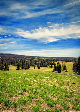 Cedar Breaks Monument