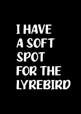 Soft spot for the lyrebird