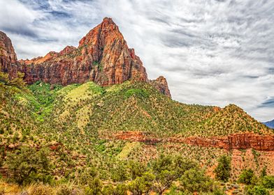 Watchman Trail View Zion