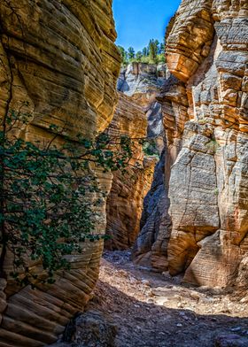 Lick Wash Trail Hike