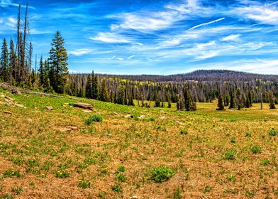 Cedar Breaks Monument