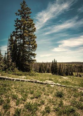 Cedar Breaks Monument