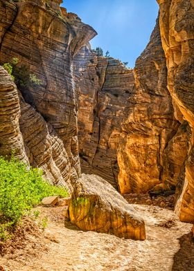 Lick Wash Trail Hike