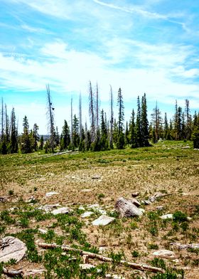 Cedar Breaks Monument