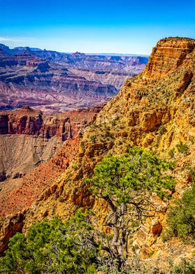 Lipan Point Grand Canyon