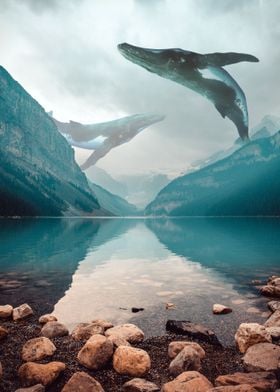 Mountain whales