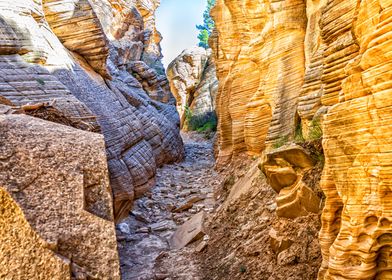 Lick Wash Trail Hike