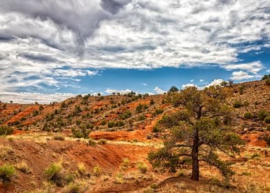 Capitol Reef National Park