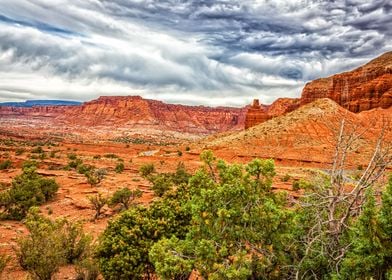 Capitol Reef National Park