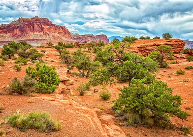 Capitol Reef National Park