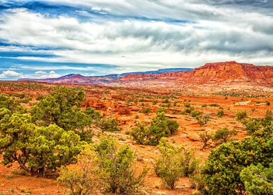 Capitol Reef National Park