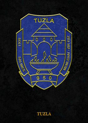 Arms of Tuzla