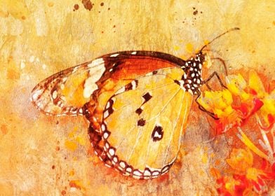 flower anh butterfly