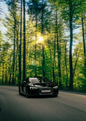 Forest Audi R8