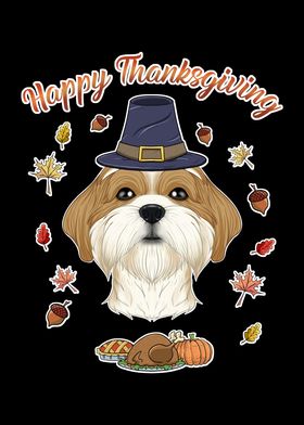 Thanksgiving Shih Tzu