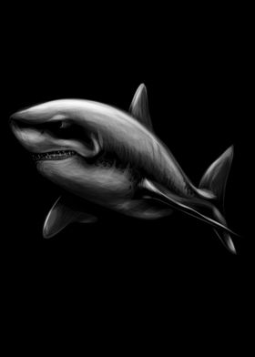 shark on a black