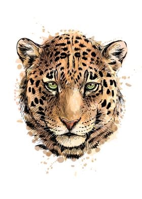 Portrait of a leopard