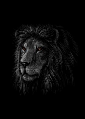 Portrait of a lion