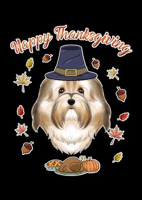 Thanksgiving Havanese