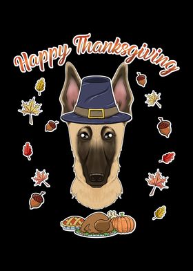 Thanksgiving Malinois