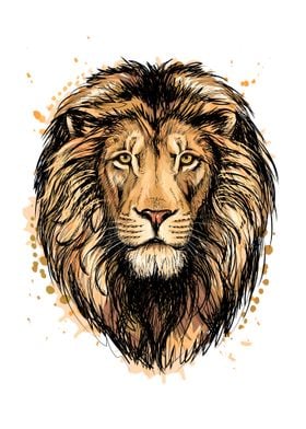 Portrait of a lion