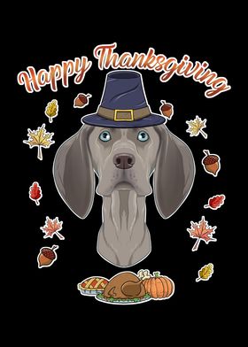 Thanksgiving Weimaraner