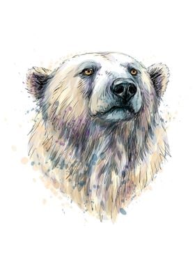 Portrait of a polar bear