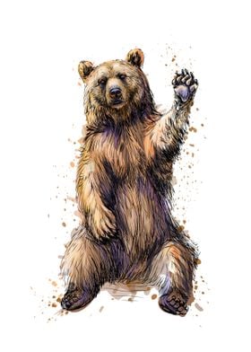 Friendly brown bear